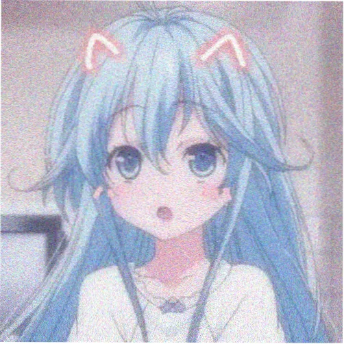 观众风里有信的头像